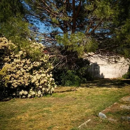 Maison 120m2 Avec Piscine Et Jardin Ideal Familles Et Professionnels Villa *